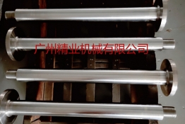 The piston rod