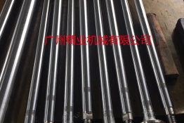 The piston rod