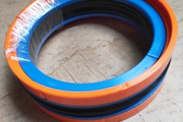 Oil seal