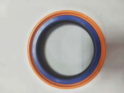 Combination of oil seal
