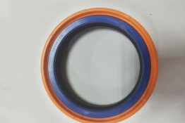 Combination of oil seal